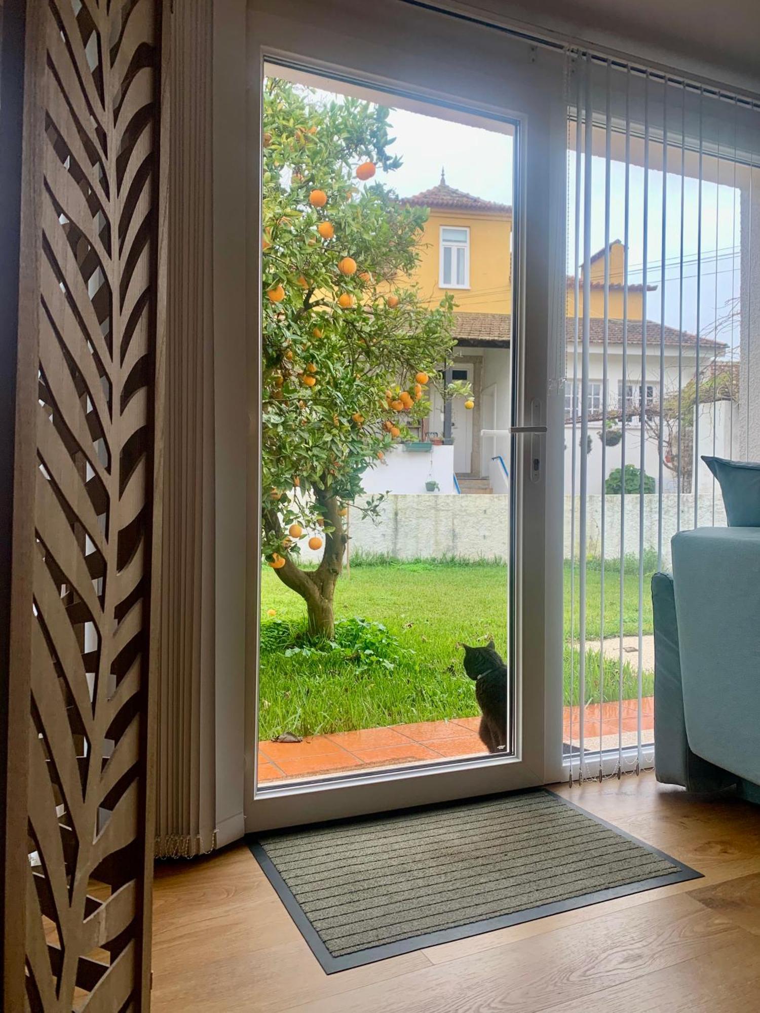 Casa Do Paco Aveiro Studio&Rooms 外观 照片